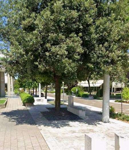 immagine annuncio 3 di 10