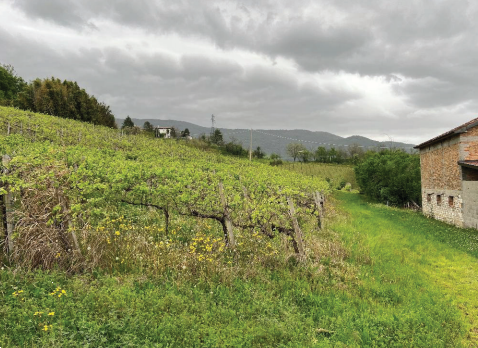 immagine annuncio 7 di 10