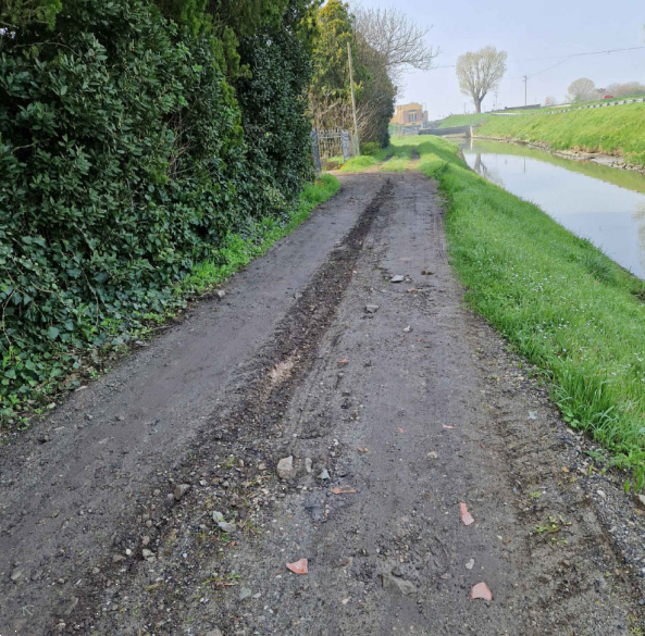 immagine annuncio 2 di 10