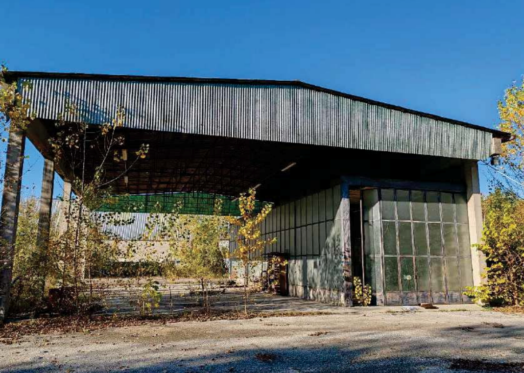 immagine annuncio 2 di 10