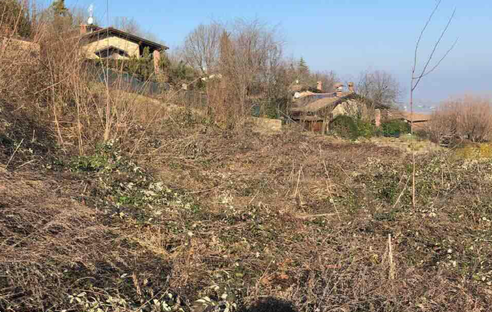 immagine annuncio 4 di 10