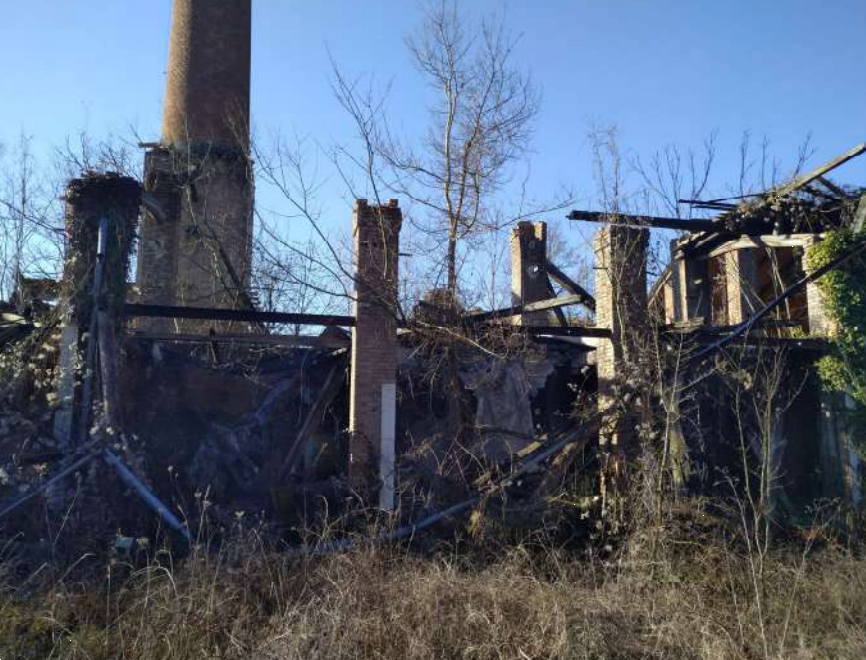 immagine annuncio 7 di 10