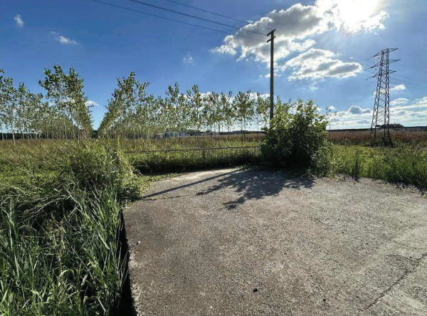 immagine annuncio 1 di 10