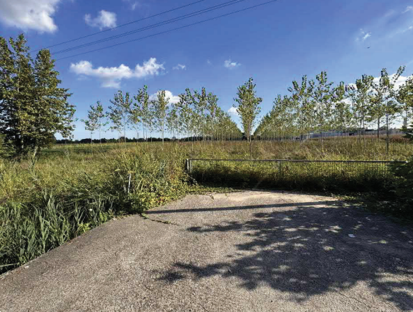 immagine annuncio 2 di 10