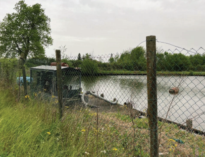 immagine annuncio 8 di 10