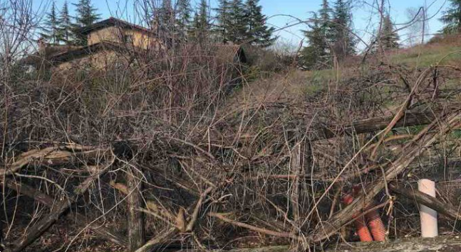 immagine annuncio 5 di 10