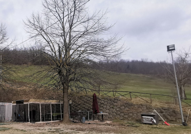 immagine annuncio 6 di 10