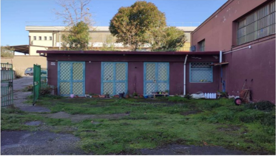 immagine annuncio 1 di 10