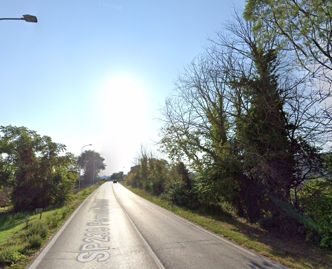 immagine annuncio 3 di 10