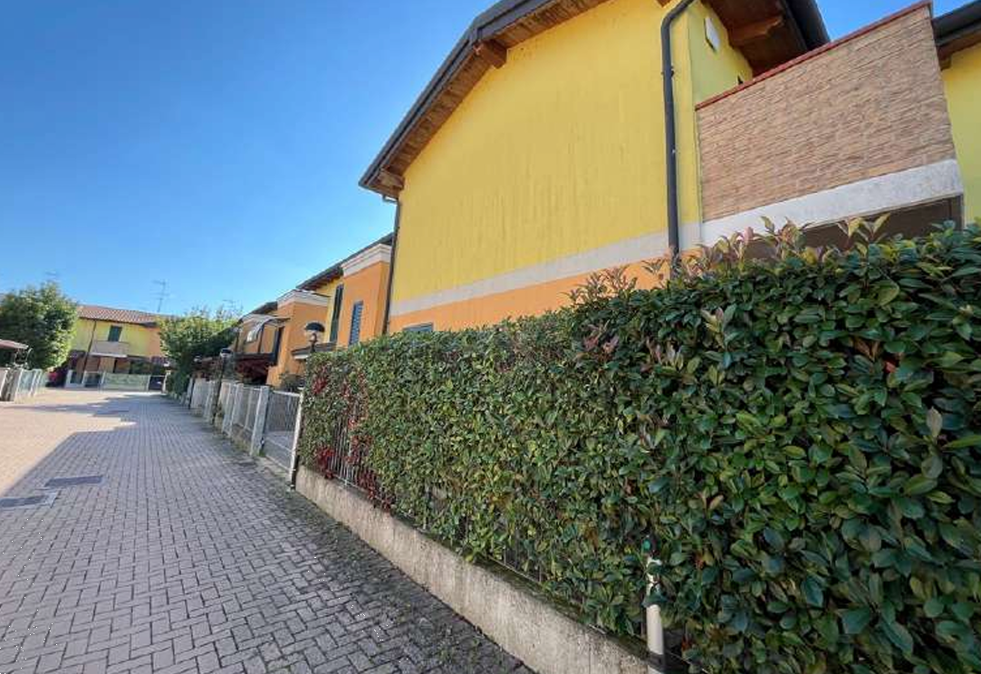 immagine annuncio 3 di 10