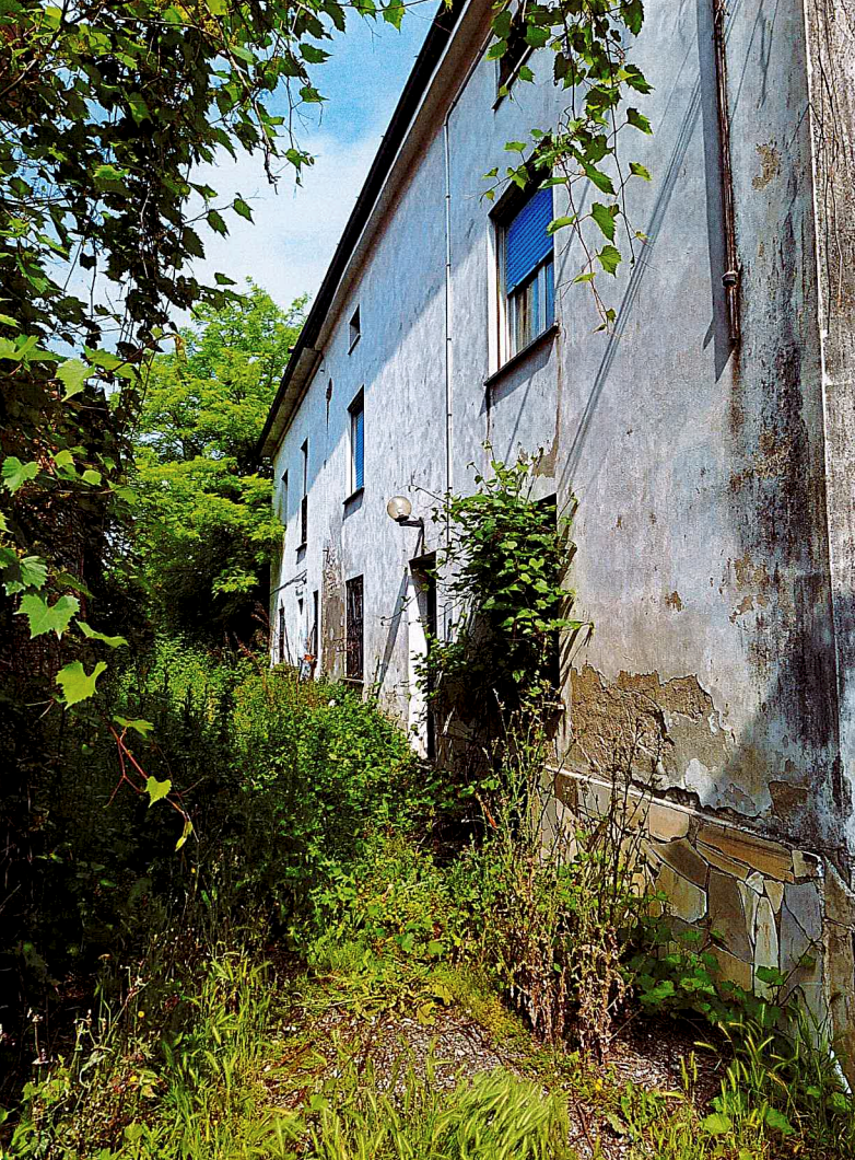 immagine annuncio 2 di 10