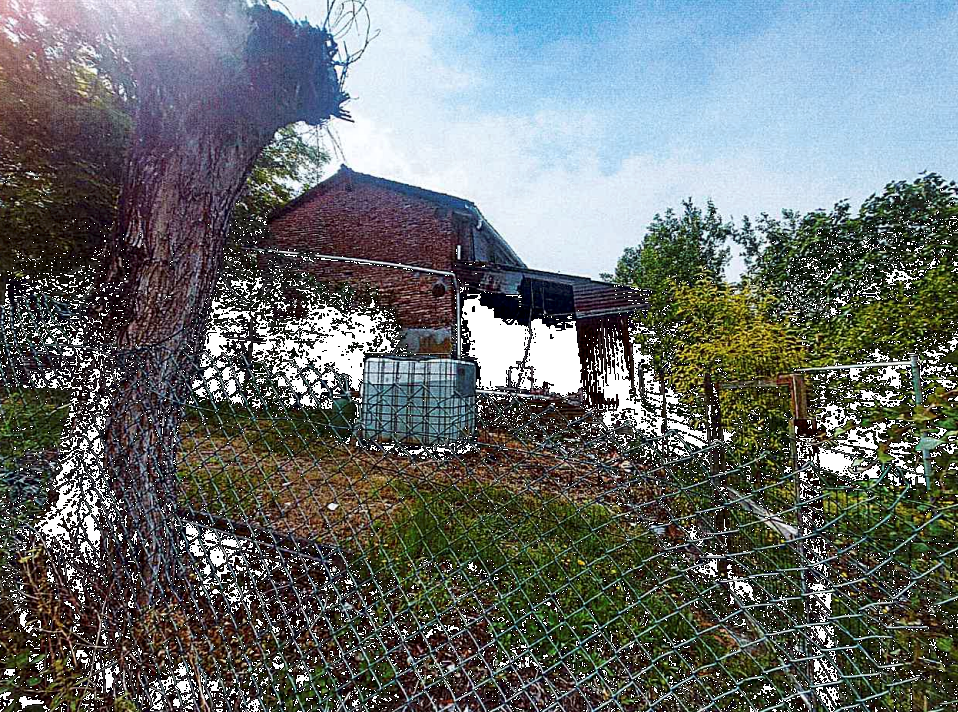 immagine annuncio 6 di 10