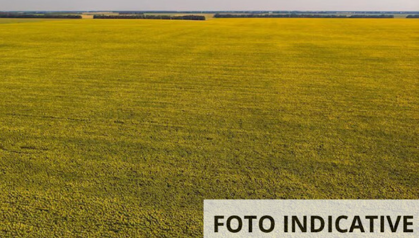 immagine annuncio 8 di 9