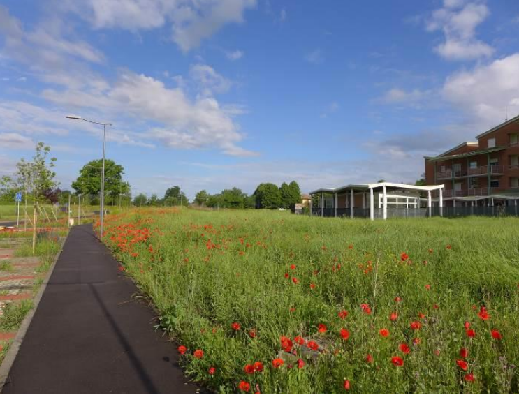 immagine annuncio 2 di 10