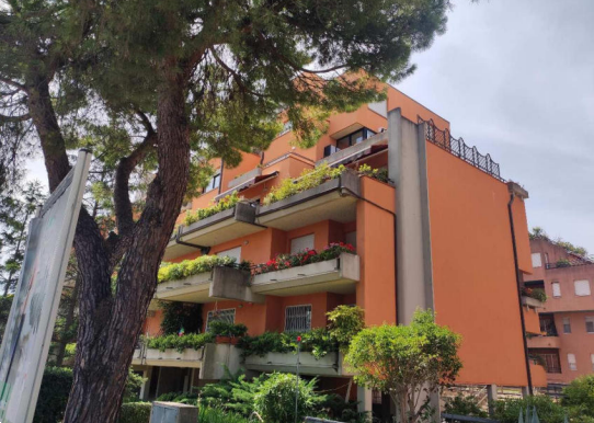 immagine annuncio 6 di 10