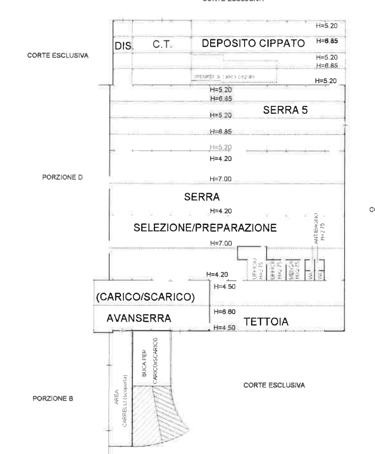 immagine annuncio 2 di 10