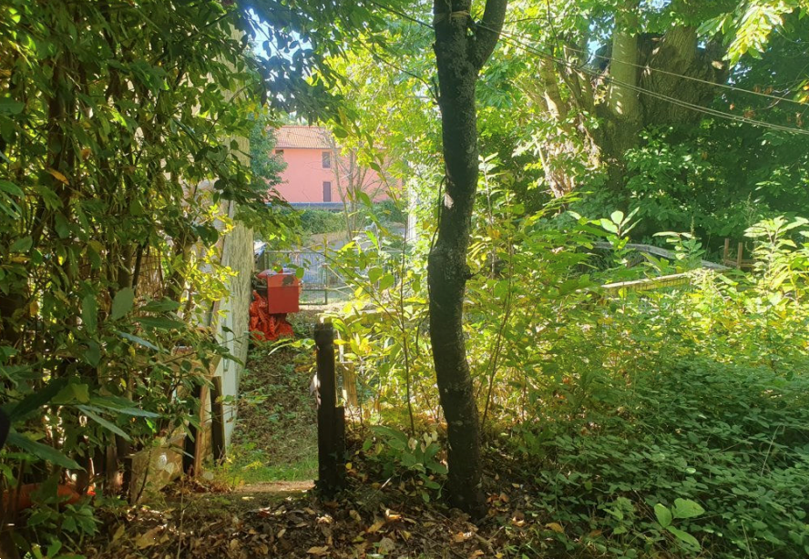 immagine annuncio 9 di 10