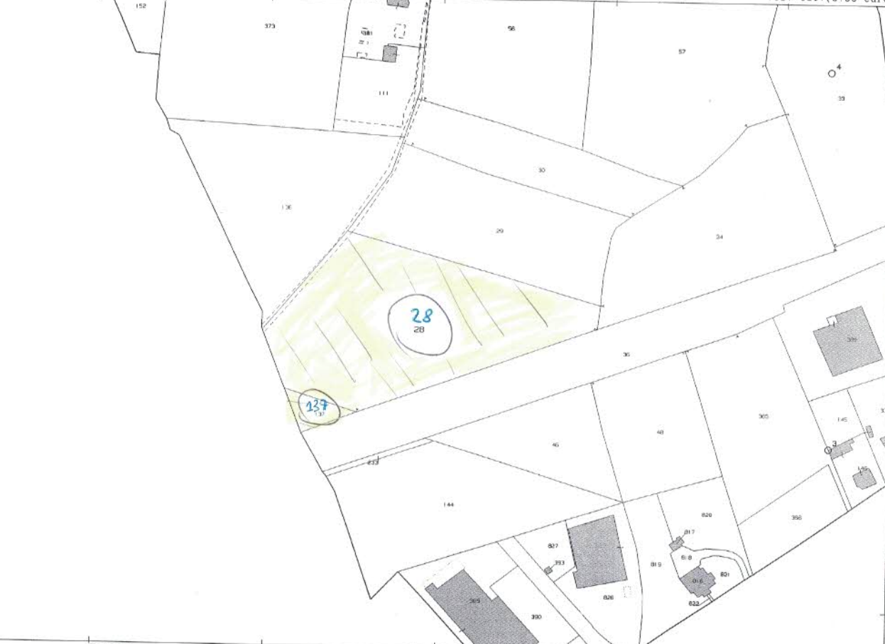 immagine annuncio 3 di 9