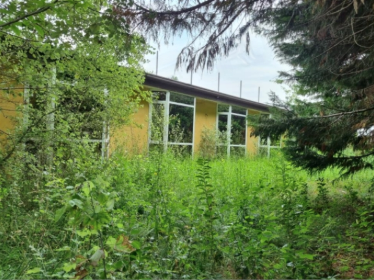 immagine annuncio 2 di 10