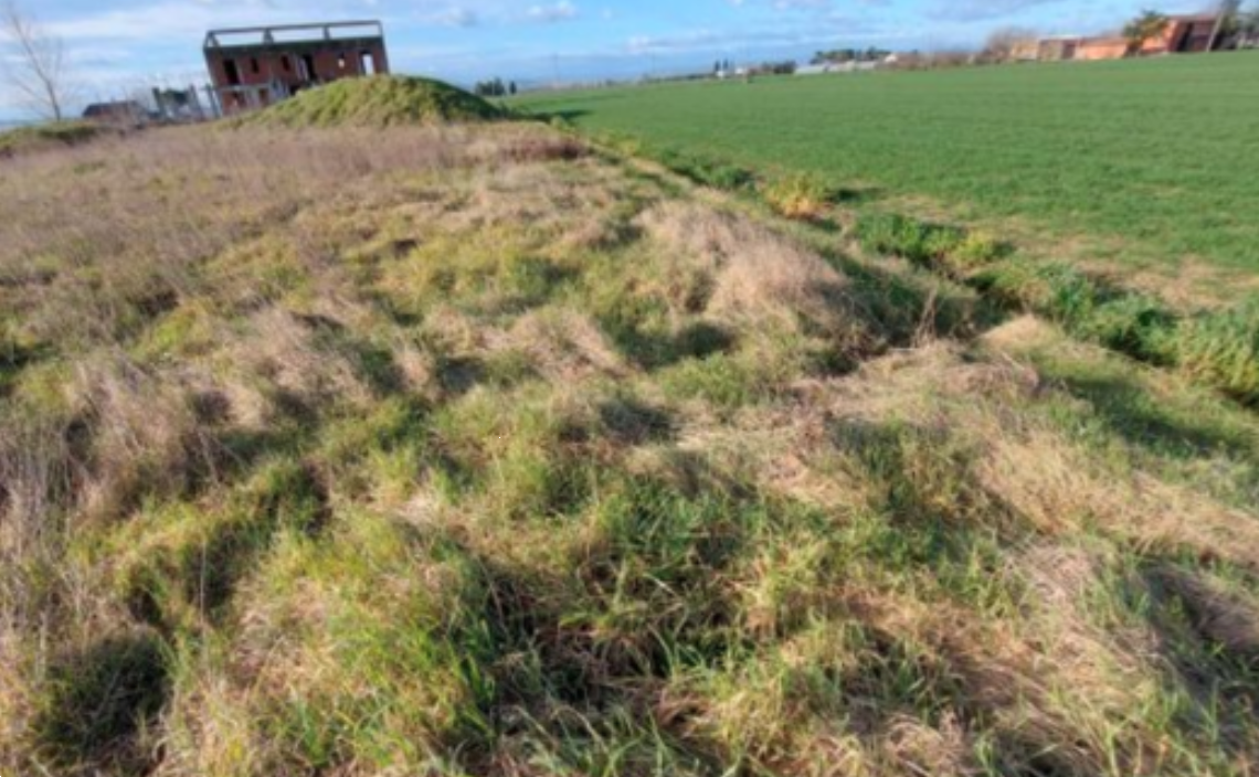 immagine annuncio 1 di 10