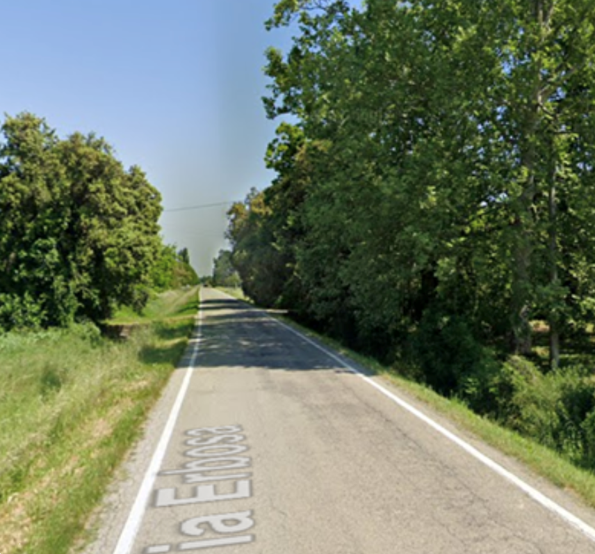 immagine annuncio 2 di 10