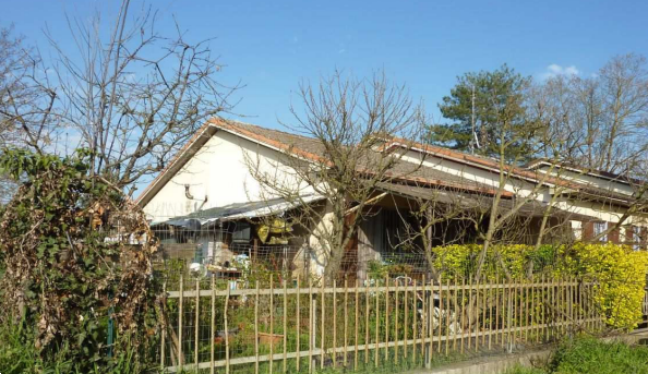 immagine annuncio 7 di 10