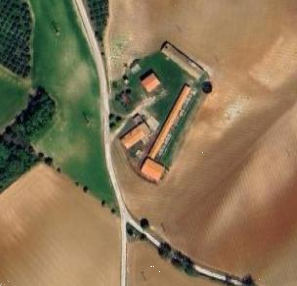 immagine annuncio 2 di 10