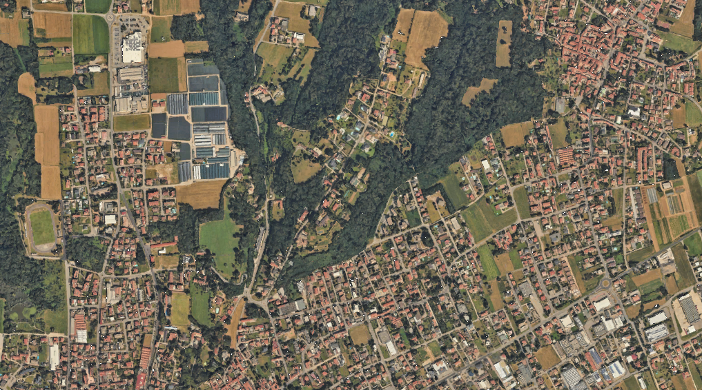 immagine annuncio 4 di 10