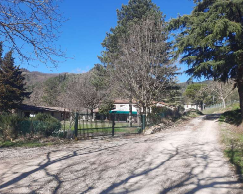 immagine annuncio 2 di 10