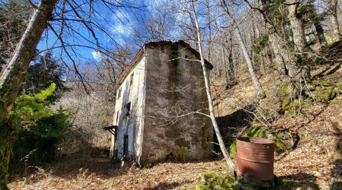 immagine annuncio 2 di 10