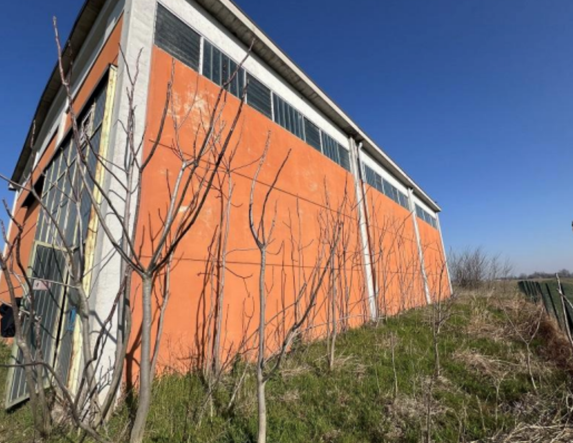 immagine annuncio 7 di 10