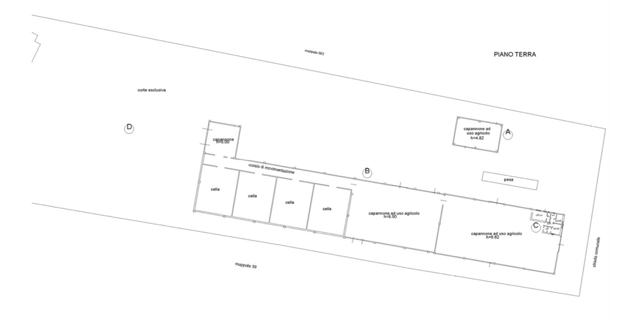 immagine annuncio 4 di 10