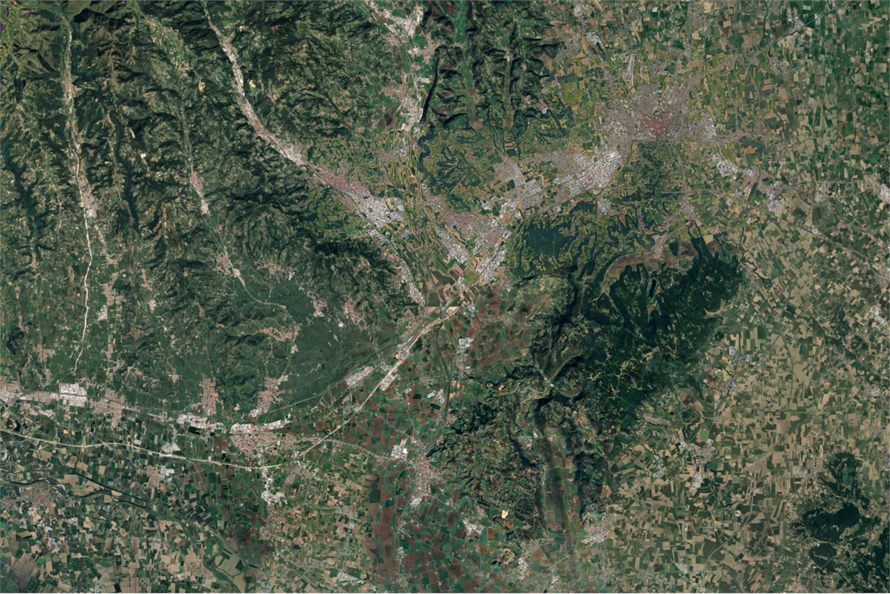 immagine annuncio 2 di 10