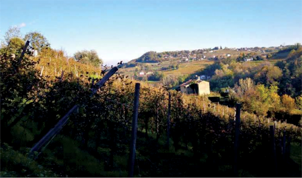 immagine annuncio 6 di 10