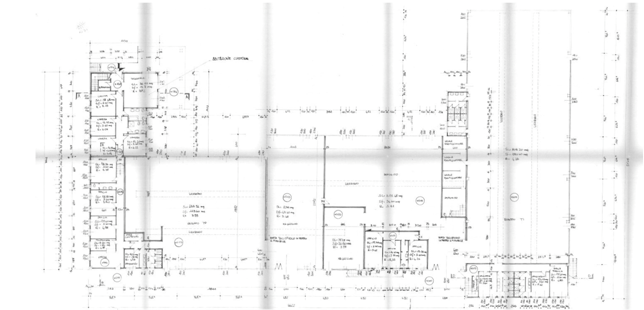 immagine annuncio 2 di 10