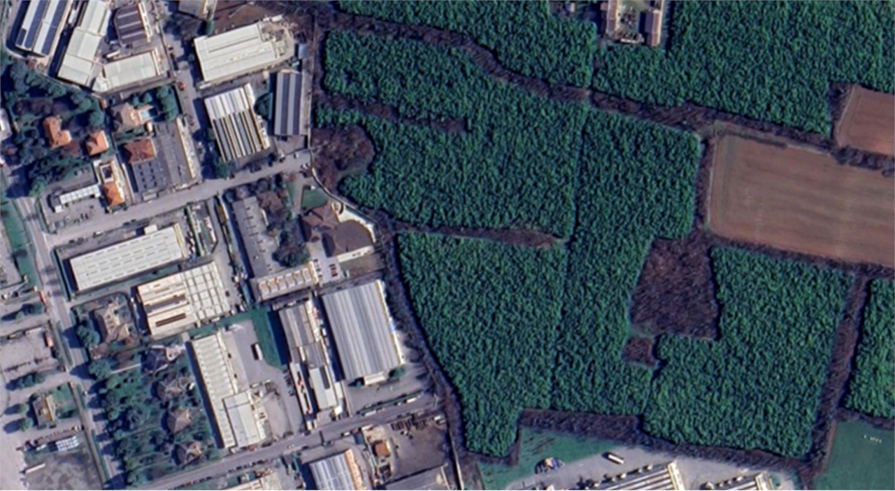 immagine annuncio 6 di 10