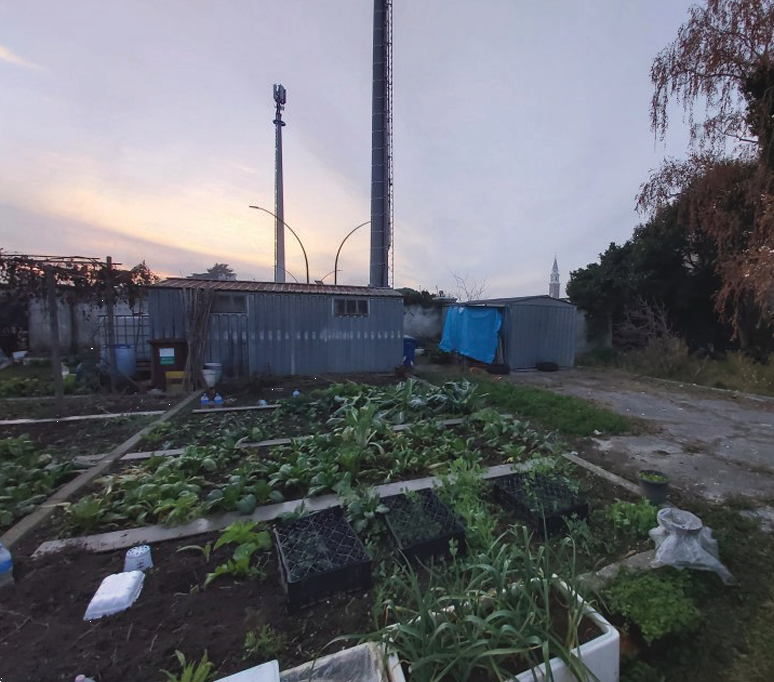 immagine annuncio 1 di 10