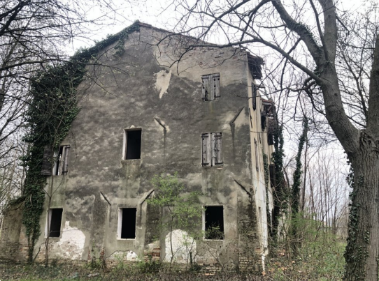 immagine annuncio 1 di 10