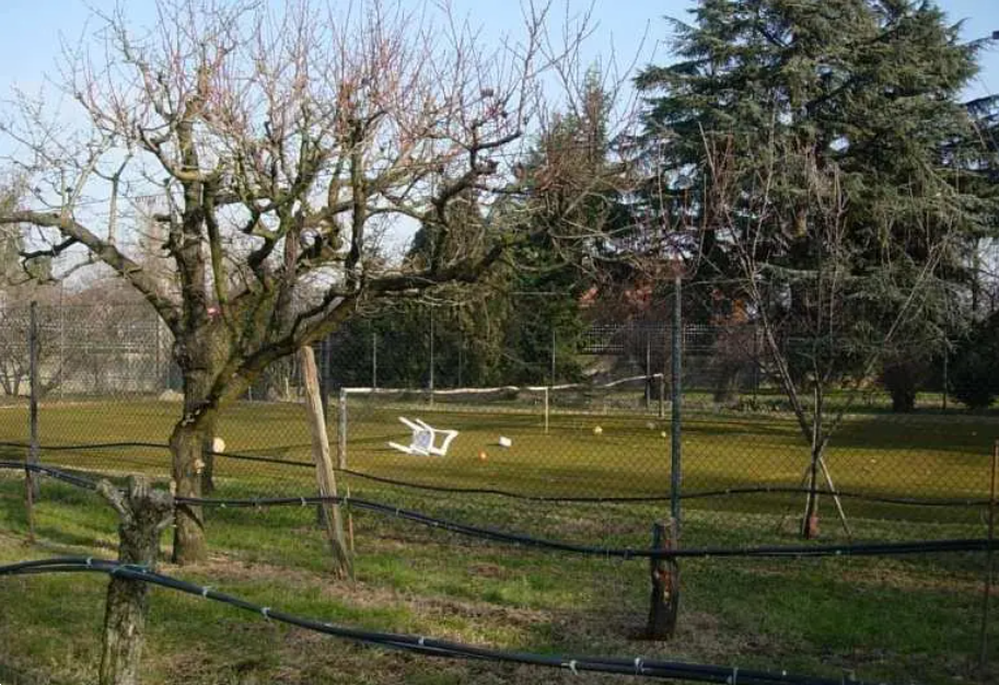 immagine annuncio 4 di 10