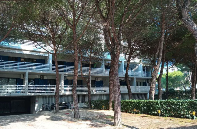 immagine annuncio 8 di 10