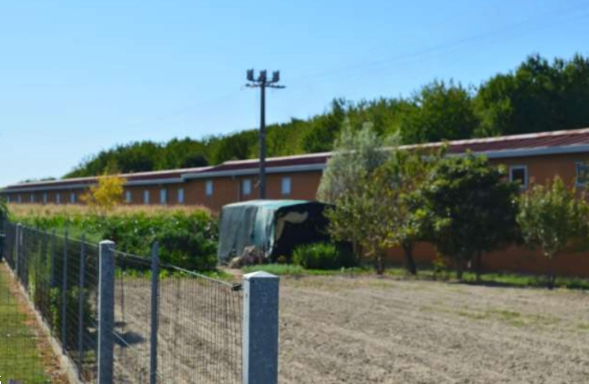 immagine annuncio 1 di 10