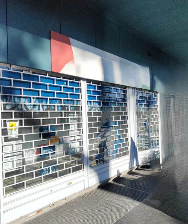 immagine annuncio 2 di 10