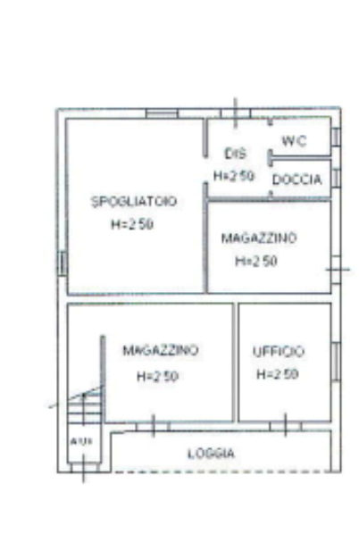 immagine annuncio 9 di 10