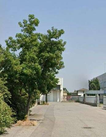 immagine annuncio 2 di 10