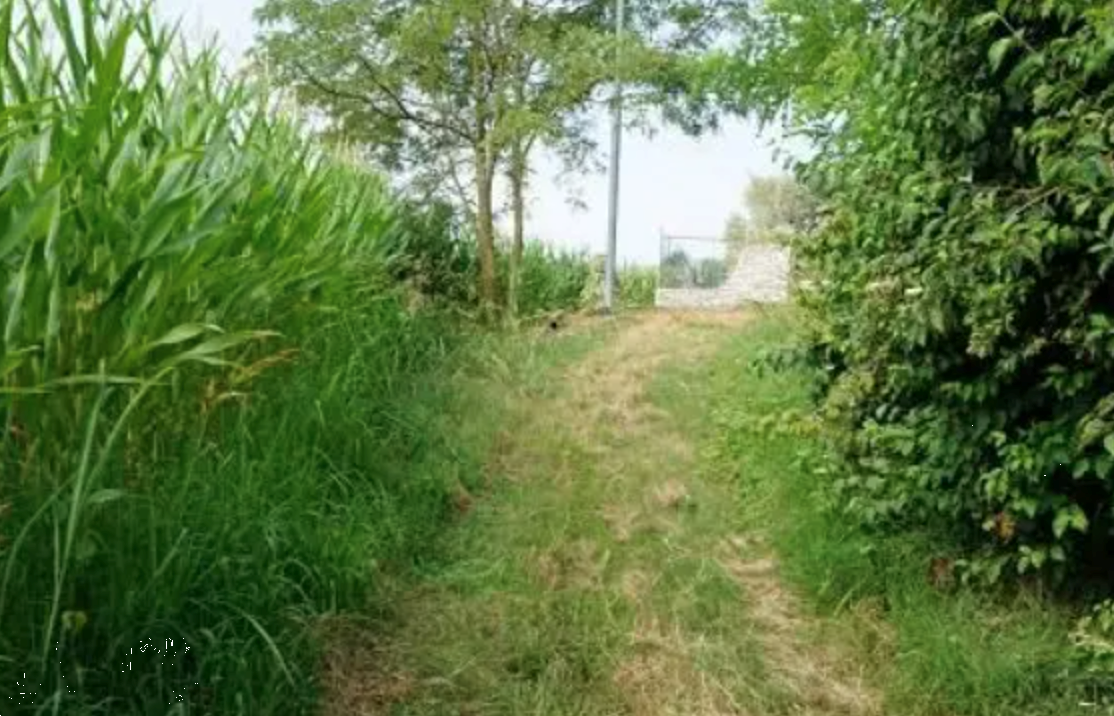 immagine annuncio 2 di 10