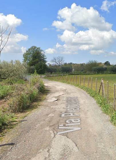 immagine annuncio 3 di 9