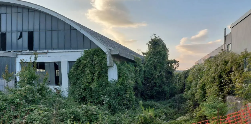 immagine annuncio 7 di 10