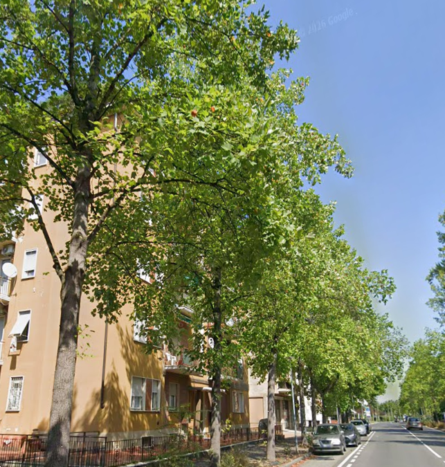 immagine annuncio 2 di 10