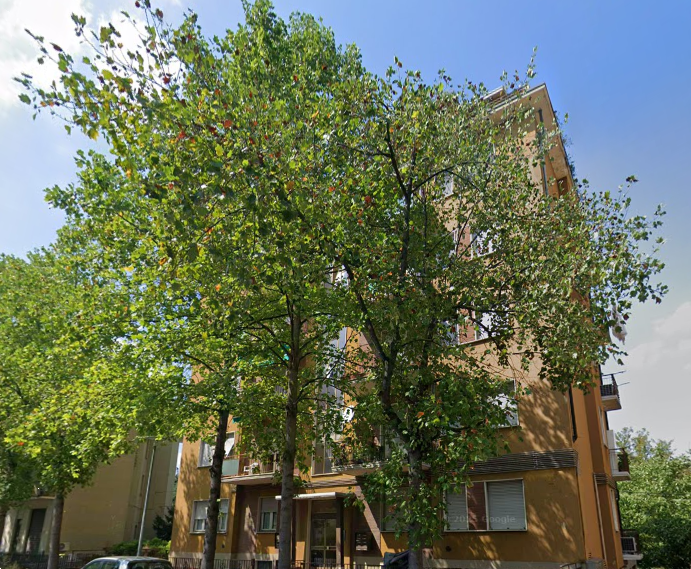 immagine annuncio 4 di 10