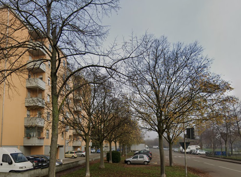 immagine annuncio 9 di 10